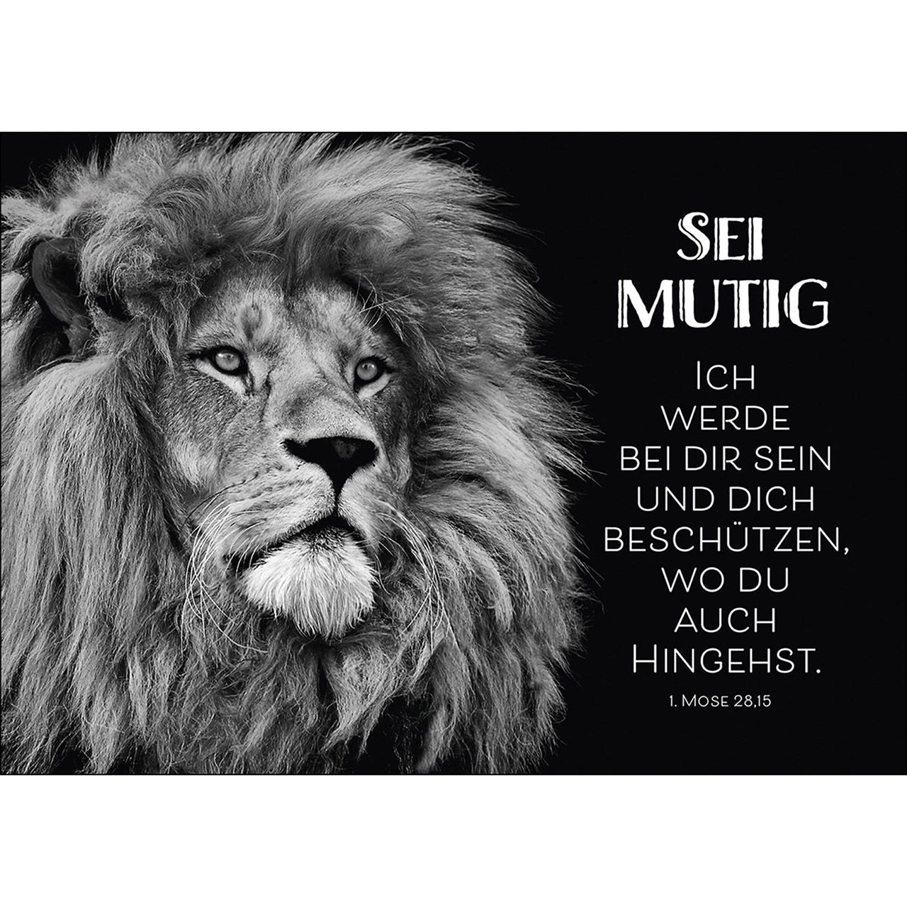 Postkarten, Sei mutig. Ich werde bei Dir sein... (12er Set)