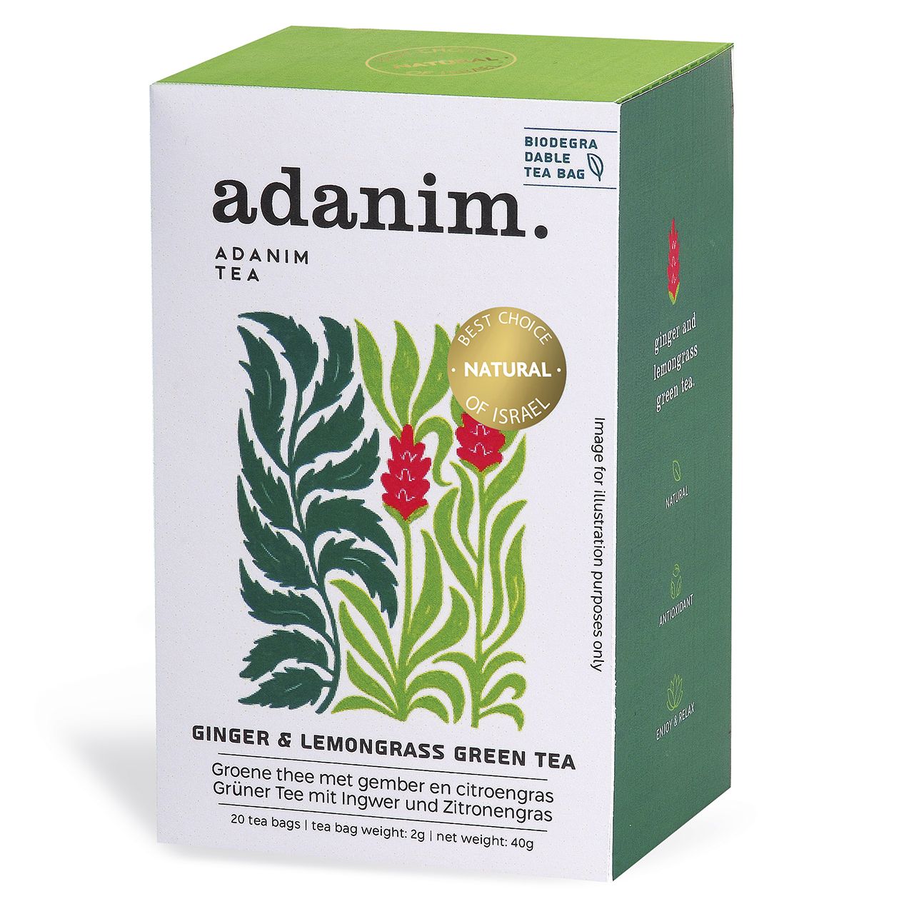 Adanim Grüner Tee mit Ingwer und Zitronengras