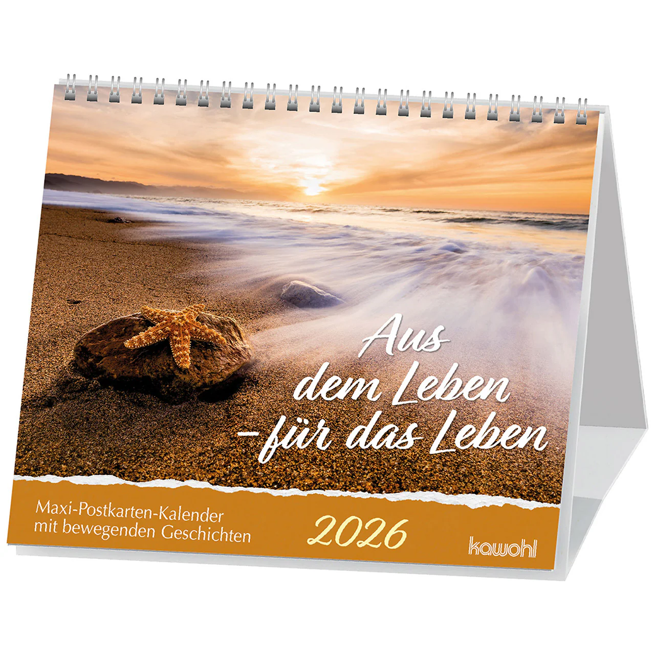 Aus dem leben - Für das Leben 2026 (Maxi-Postkartenkalender)
