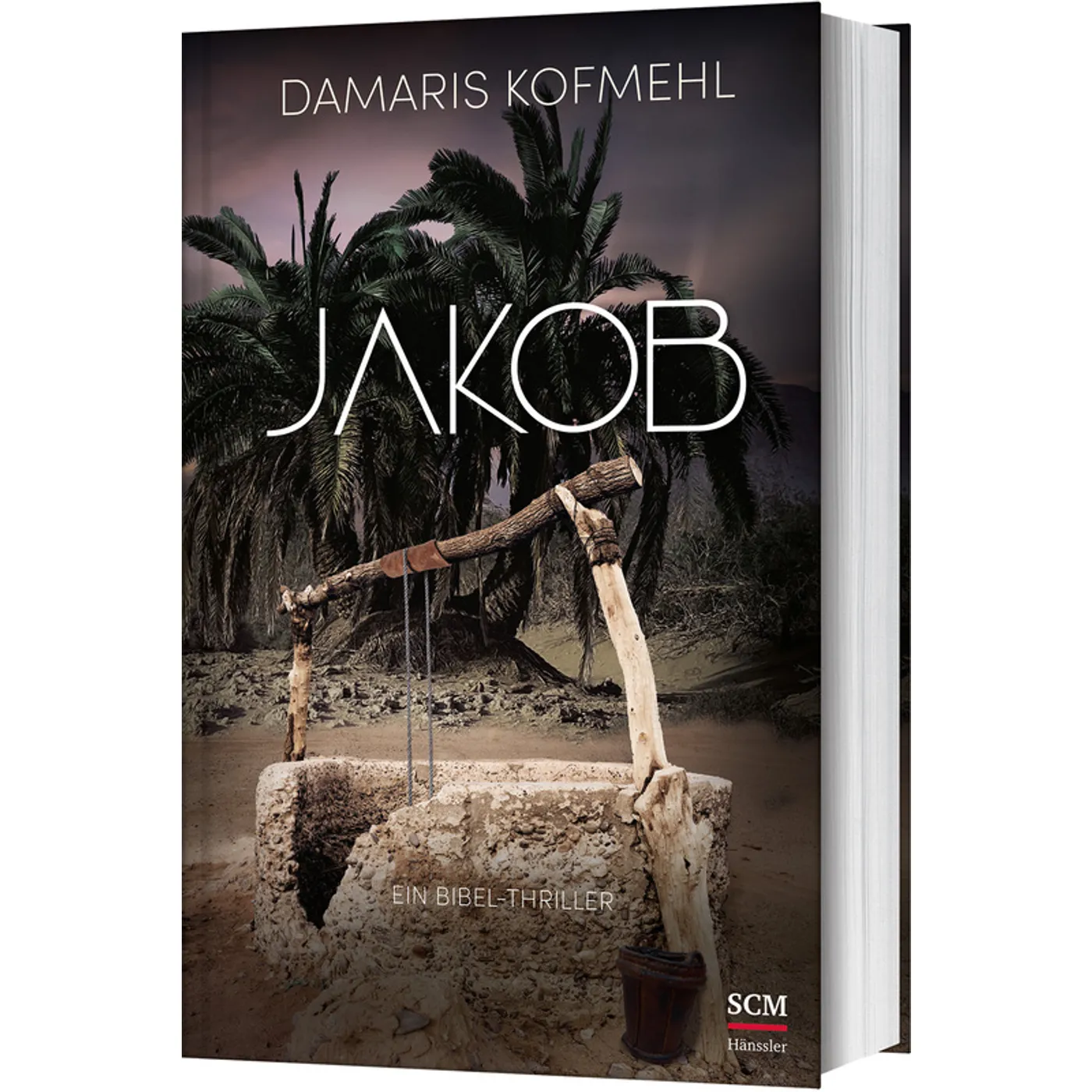 Damaris Kopfmehl, Jakob - Ein Bibel-Thriller
