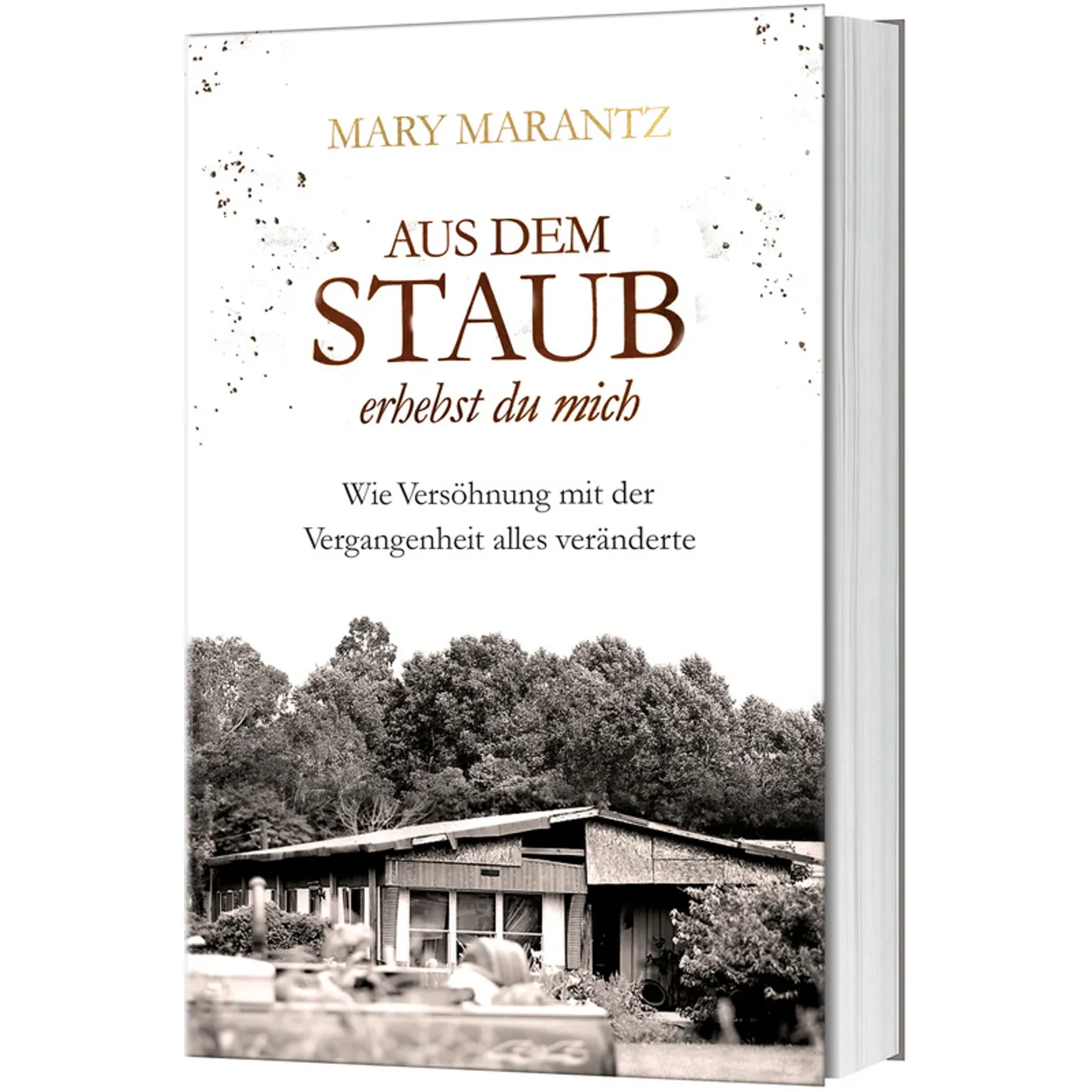 Mary Marantz, Aus dem Staub erhebst du mich