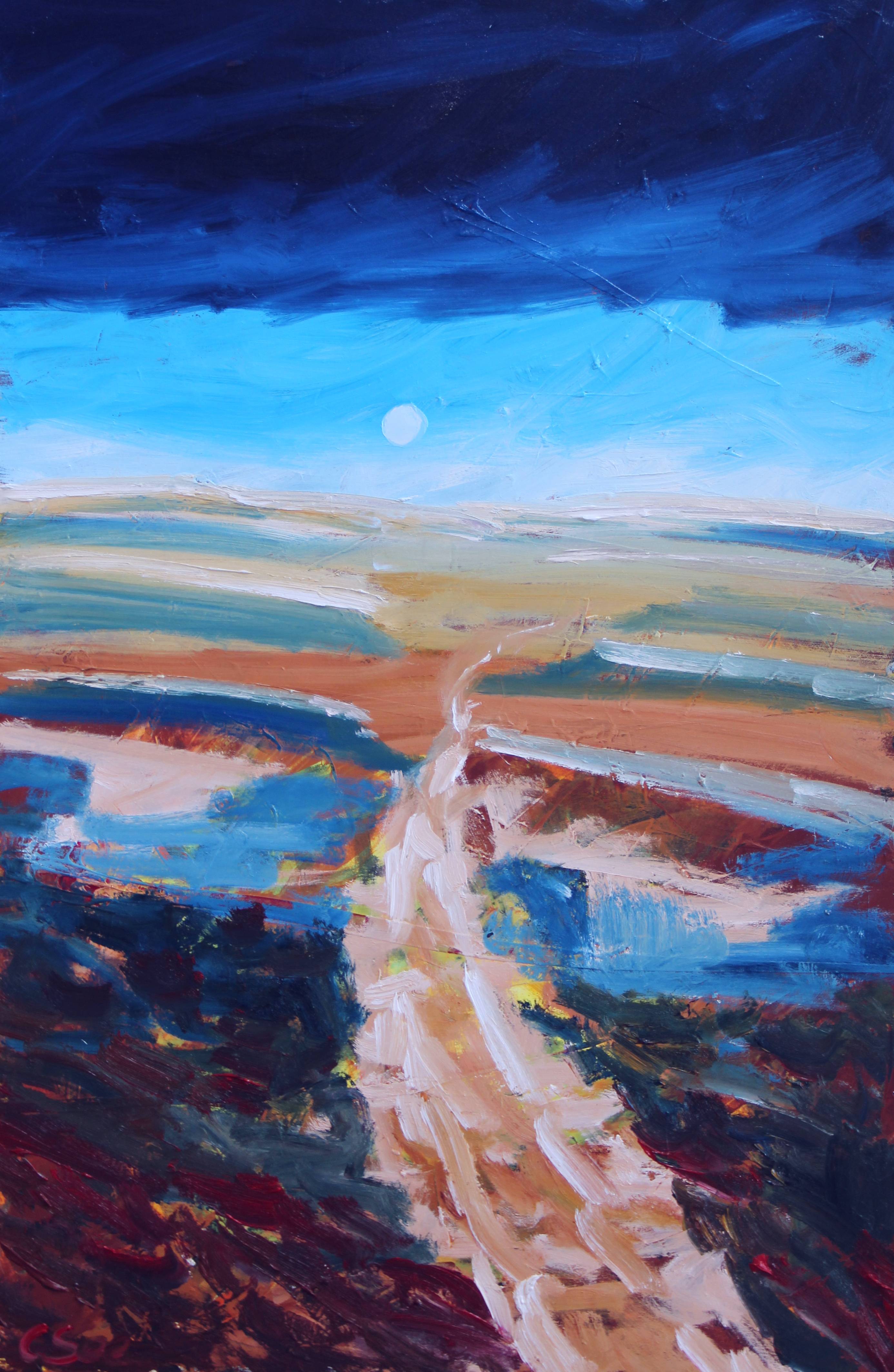 Israel Trail in the Negev ( Unikat No: 2296 )