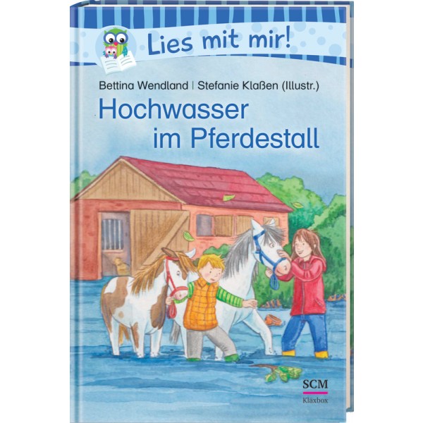 Hochwasser im Pferdestall