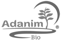 Adanim Adanim
