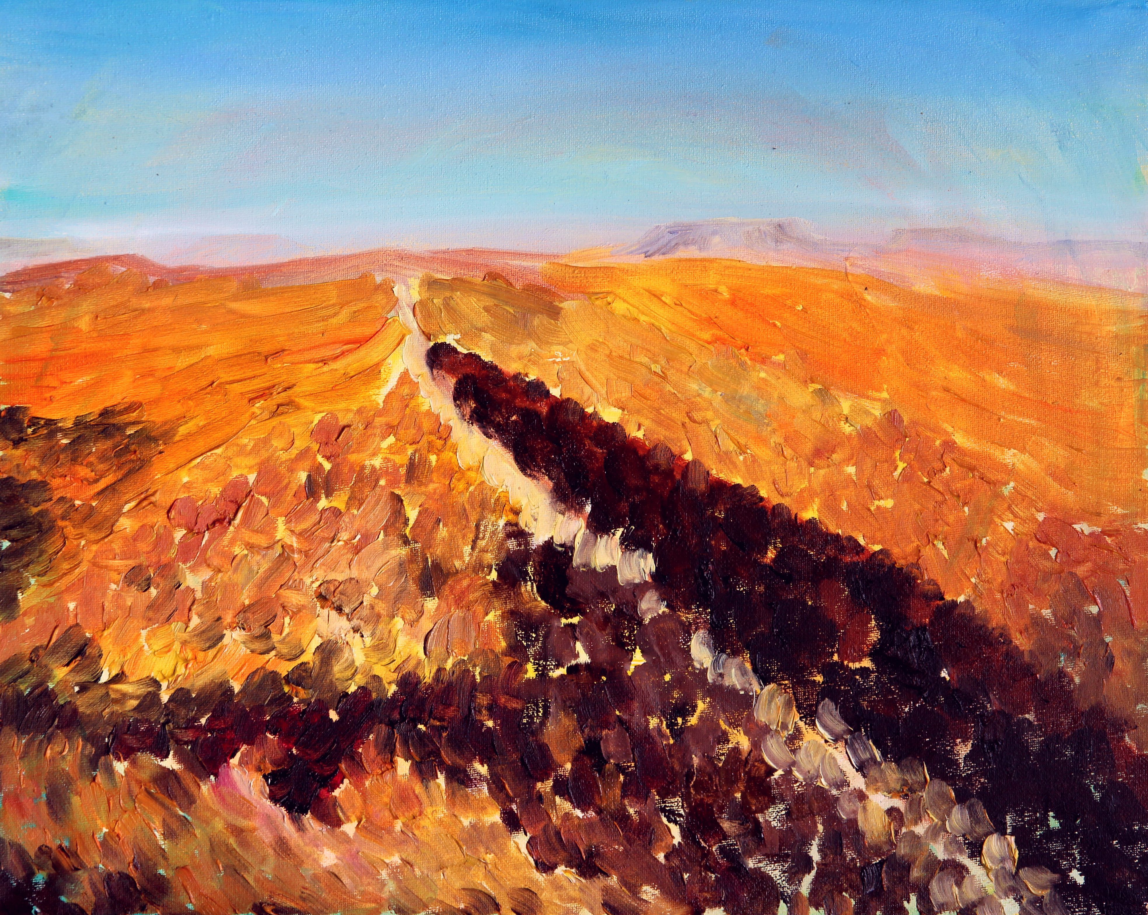 Shaharut Negev ( Unikat No: 2402 CS )