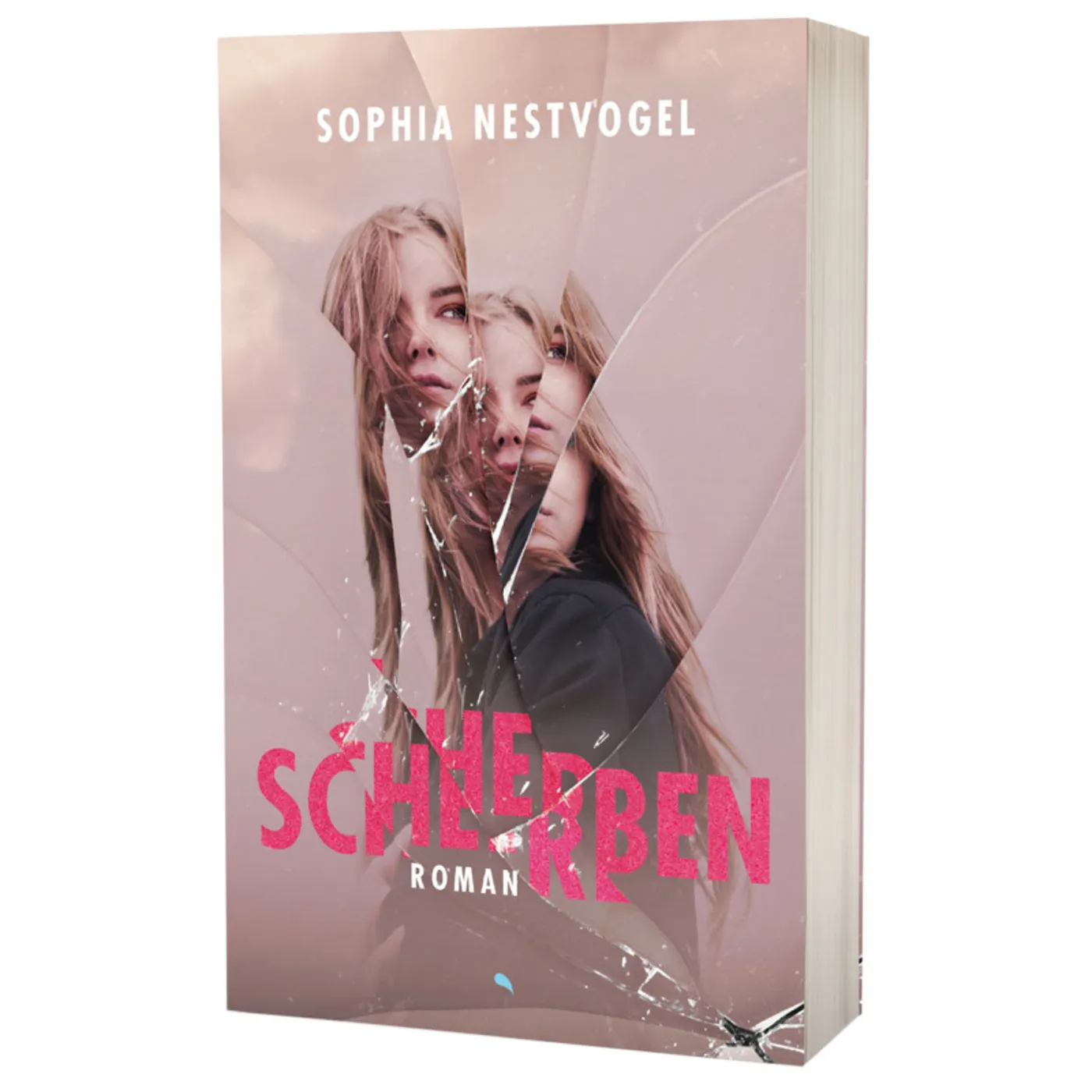 Sophia Nestvogel, Scherben