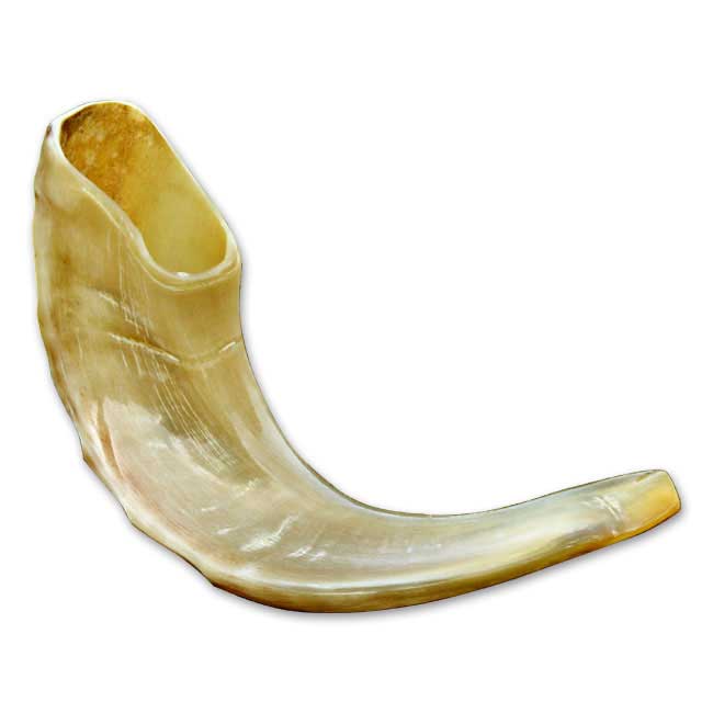 Kleines Schofar - ca. 25-30 cm / 11-12 inches