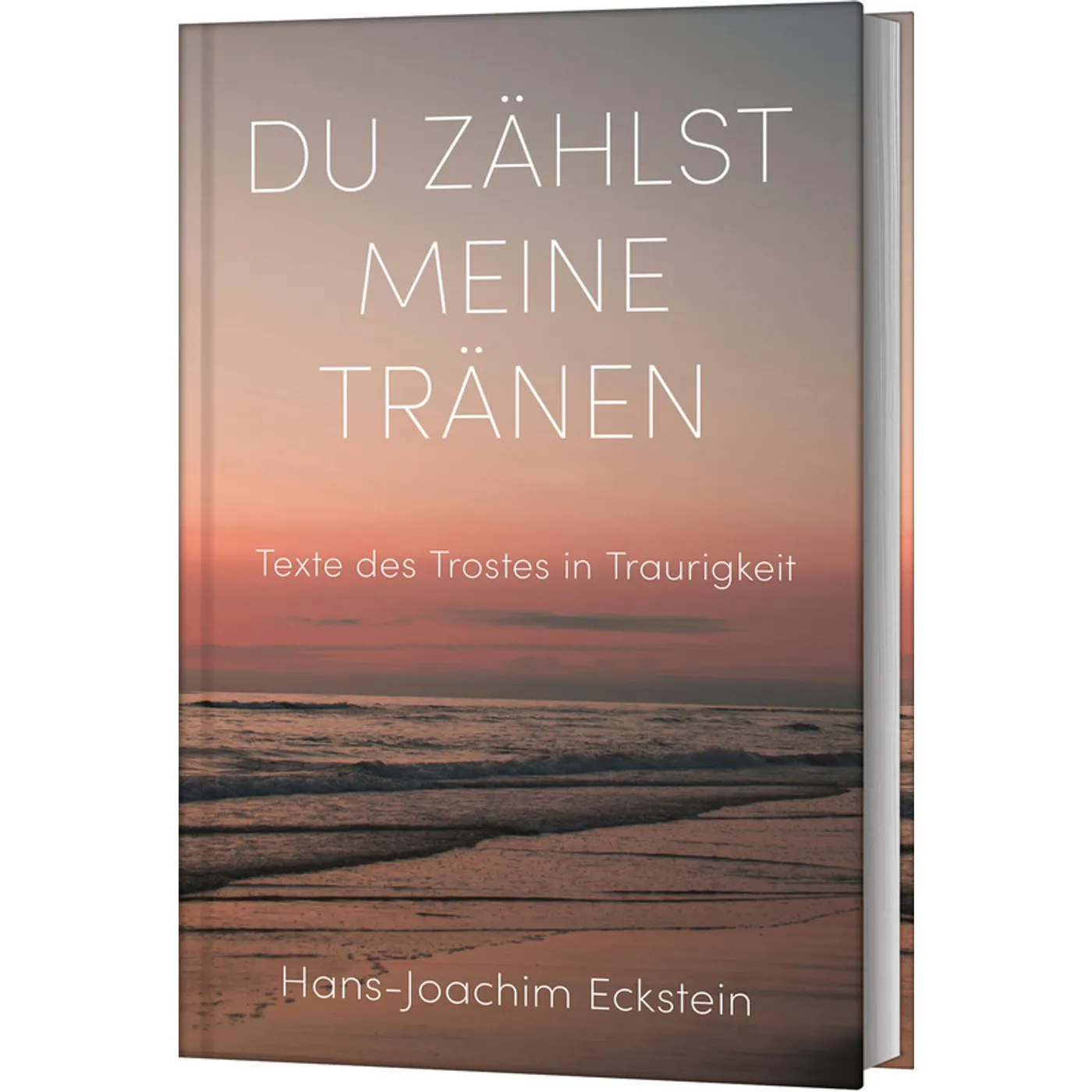 Hans-Joachim Eckstein, Du zählst meine Tränen