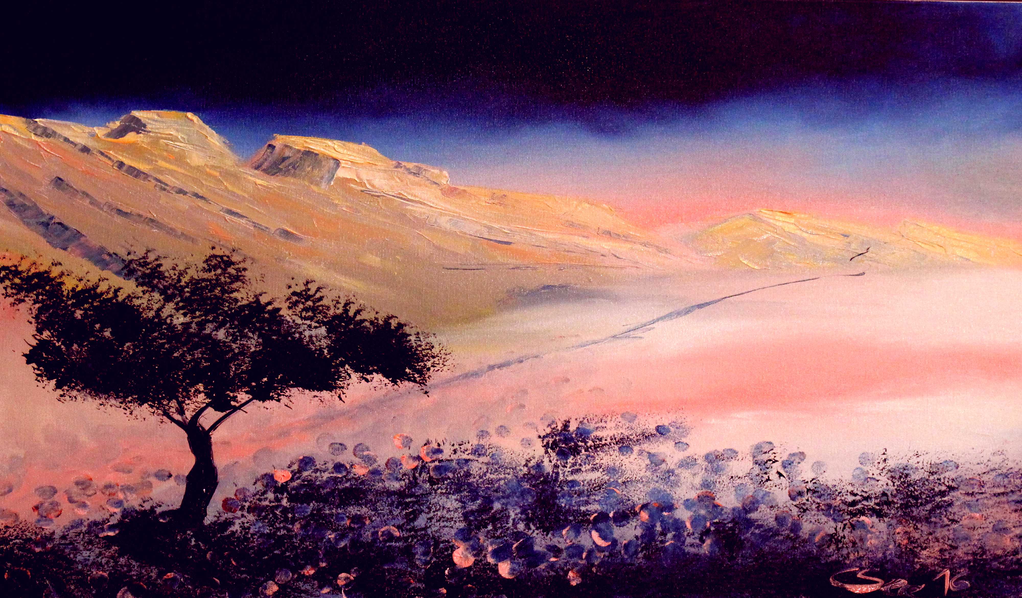 Pink Negev ( Unikat No: 2364 )