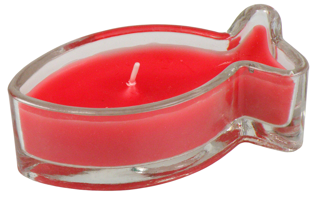 Kerzenglasfisch in Rot
