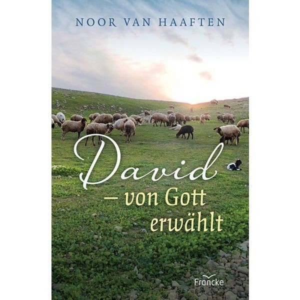 Noor van Haaften, David - von Gott geführt