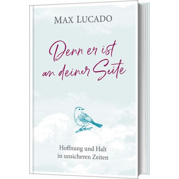 Max Lucado, Denn er ist an deiner Seite