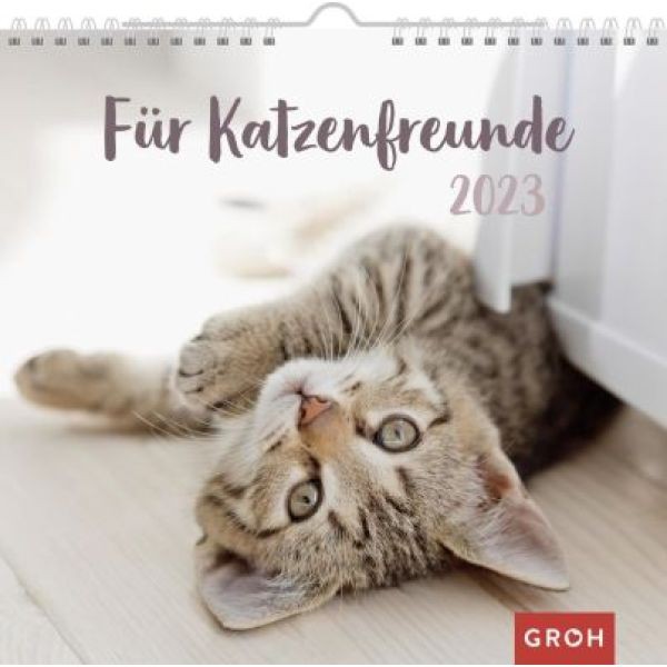 Für Katzenfreunde 2023 - Wandkalender