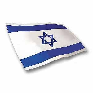 Israel-Flagge (Fahne) mit Stock, 30 x 45 cm